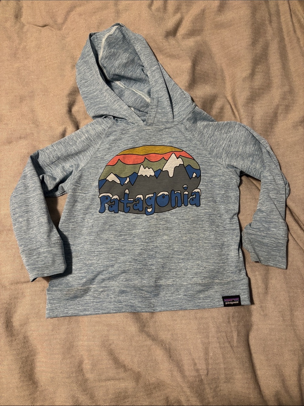 Patagonia Kids' Light Blue Sun Hoodie